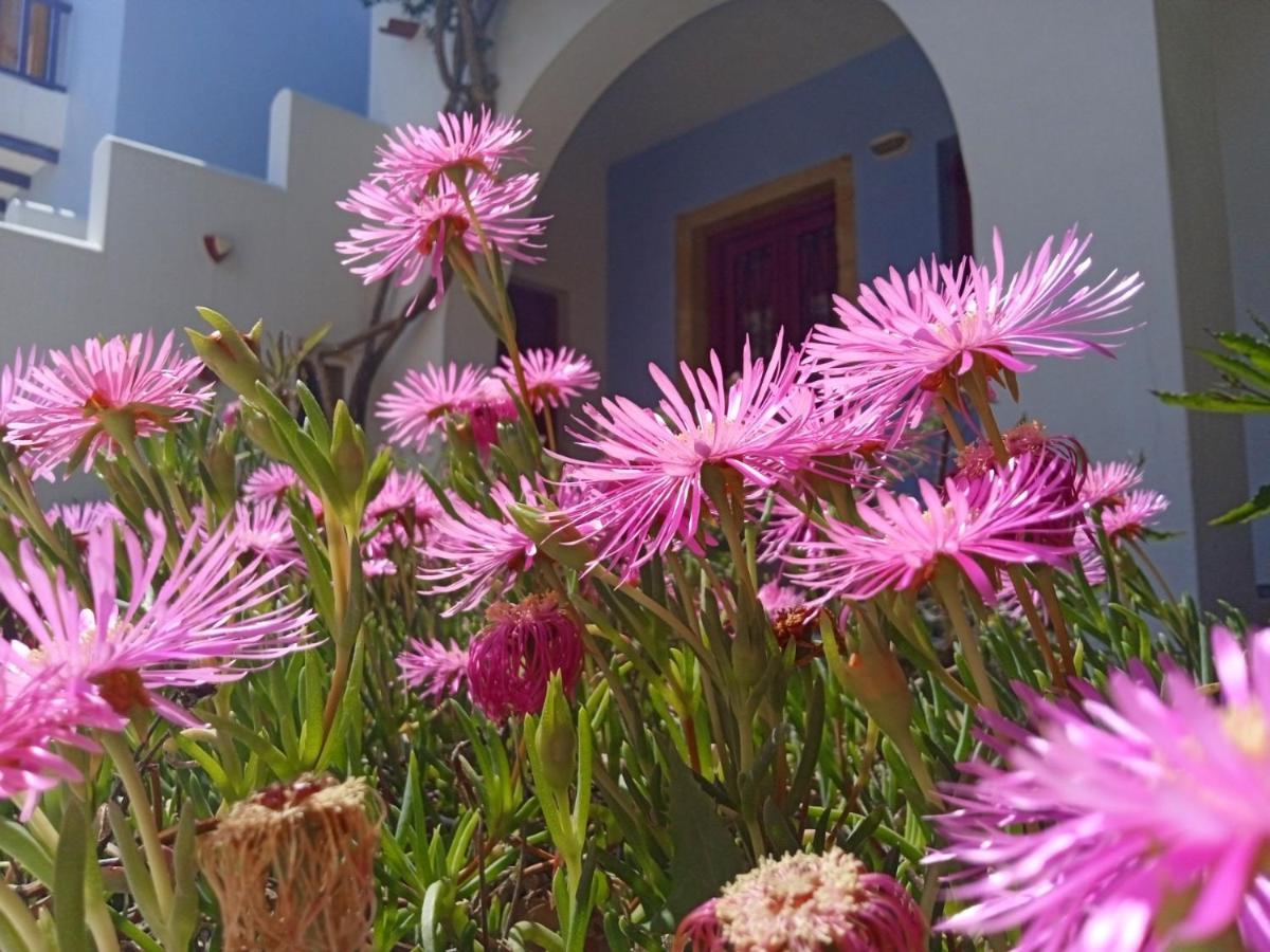 Nefeli Hotel Leros Agia Marina  Exterior photo